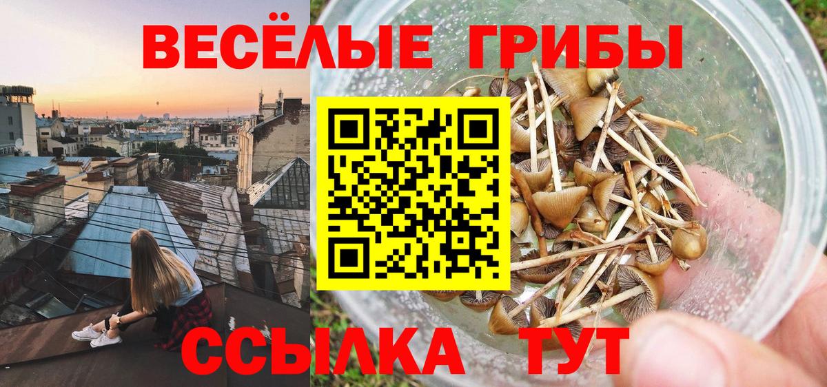 Галлюциногенные грибы MAGIC MUSHROOMS Аргун