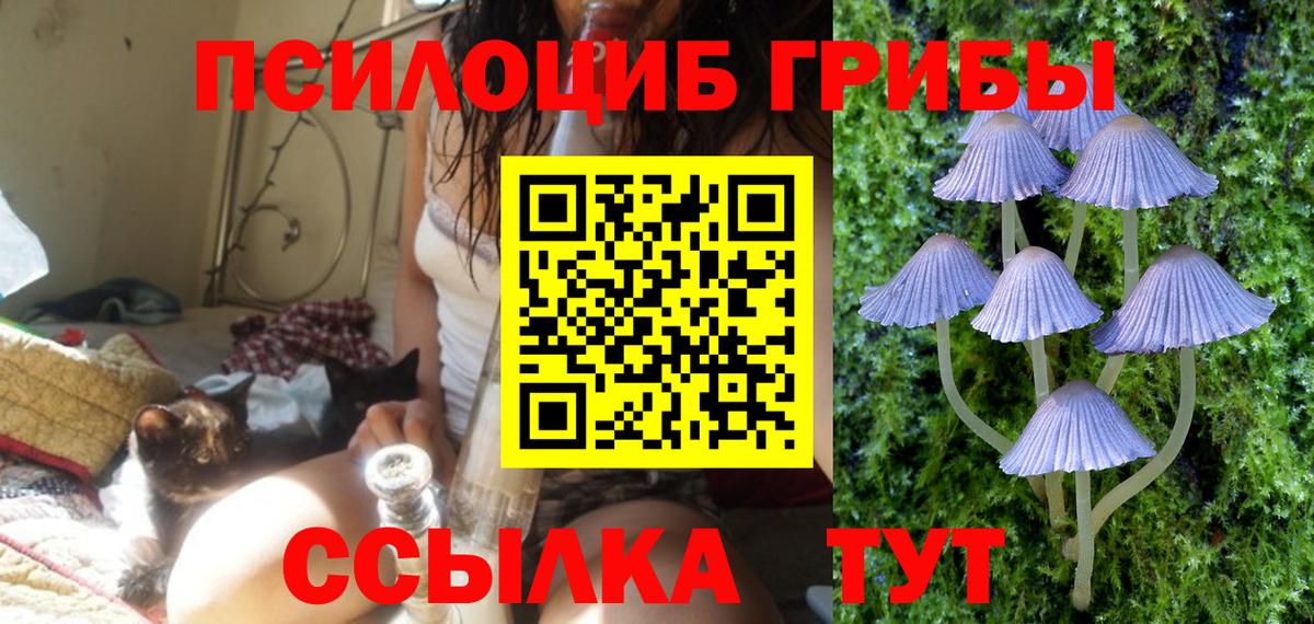 Галлюциногенные грибы прущие грибы  Вход с VPN  Аргун 